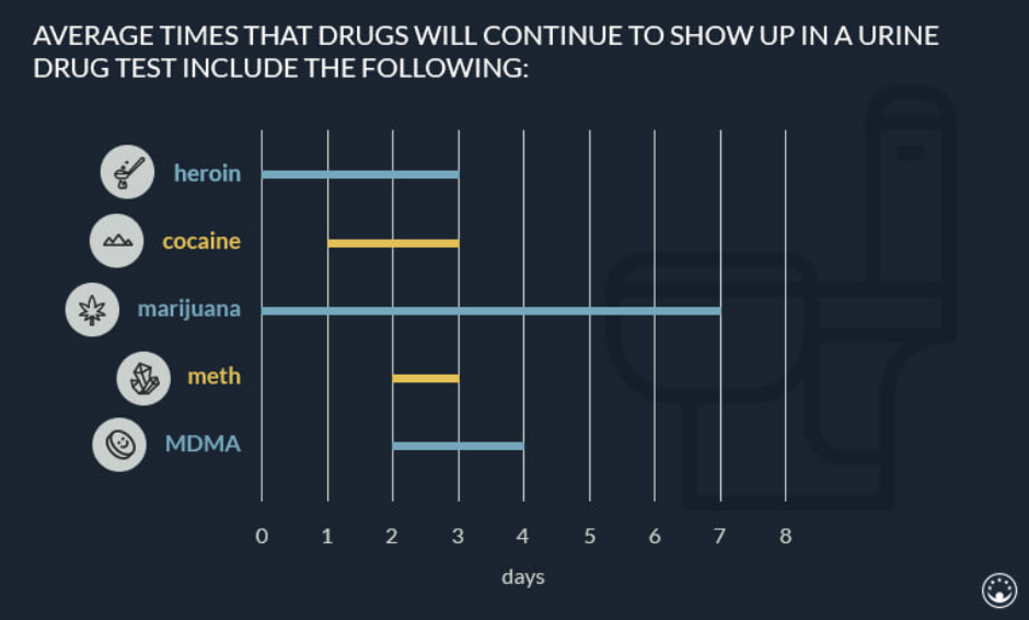 Graph of average times drugs show up in your urine